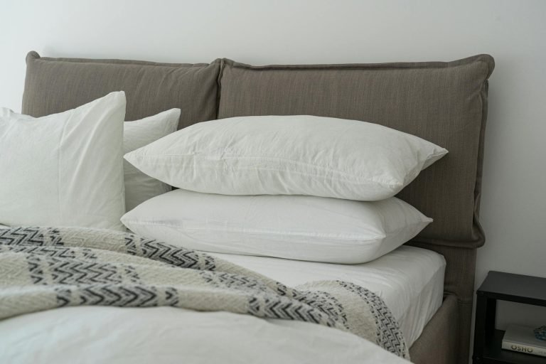 Bed bug extermination service
